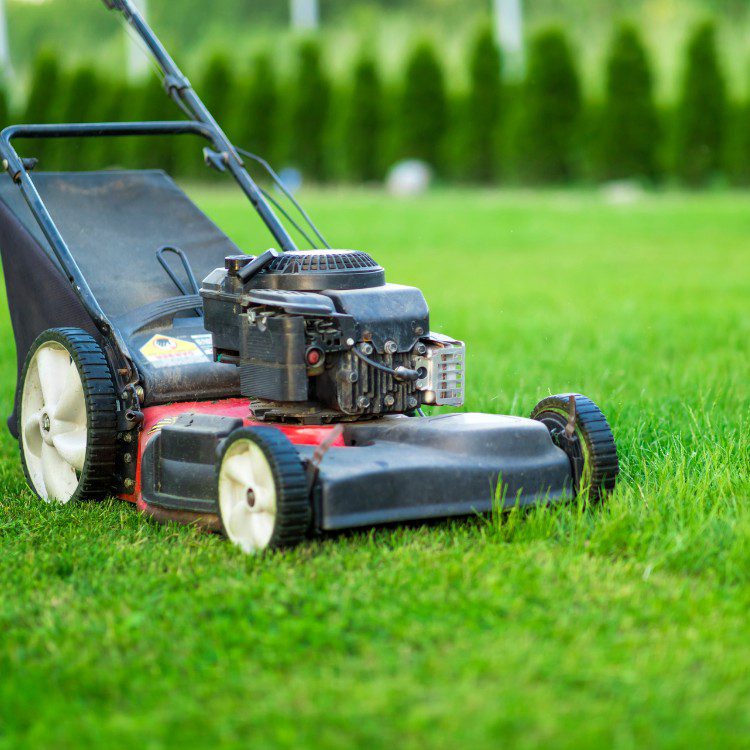 Lawn Services in Lakeland, FL