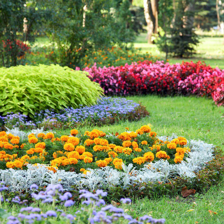 Lawn Services in Lakeland, FL Lawn Services in Lakeland, FL