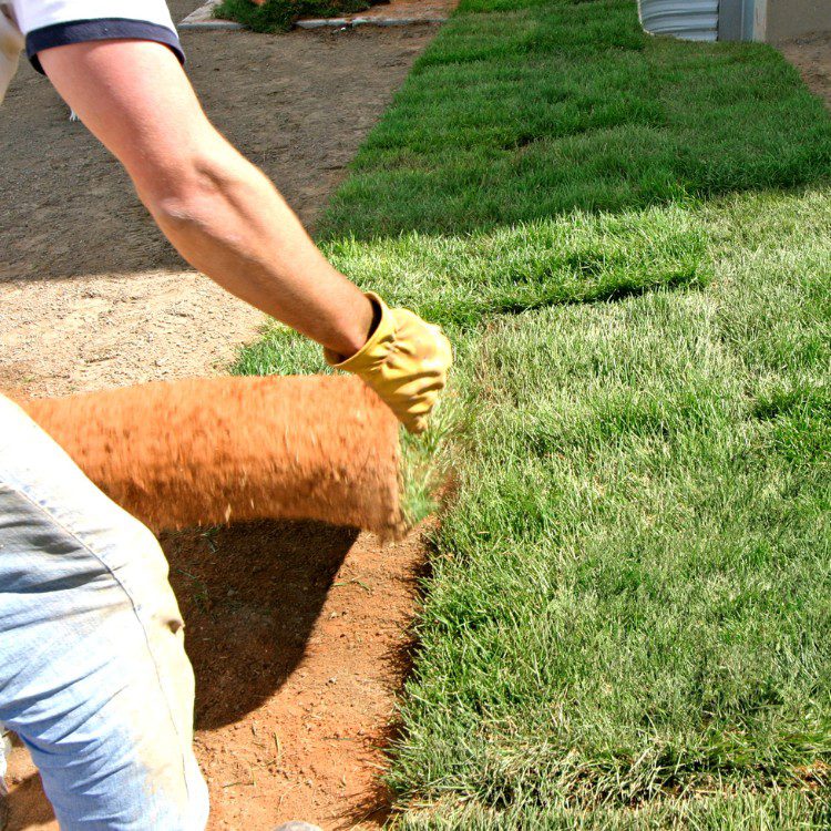 Lawn Services in Lakeland, FL Lawn Services in Lakeland, FL