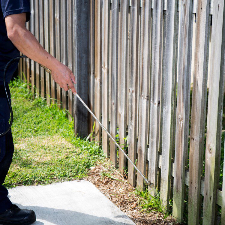 Lawn Services in Lakeland, FL Lawn Services in Lakeland, FL