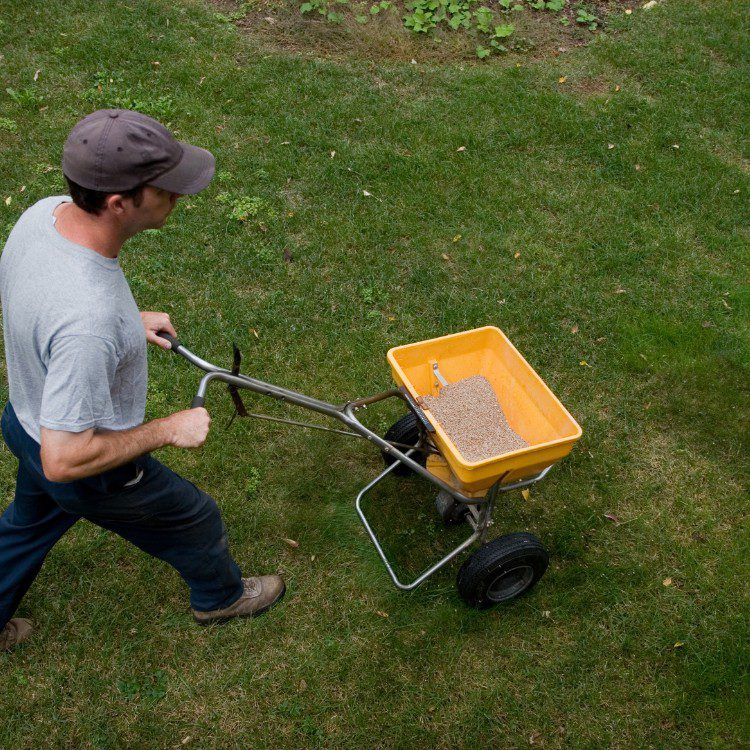 Lawn Services in Lakeland, FL Lawn Services in Lakeland, FL