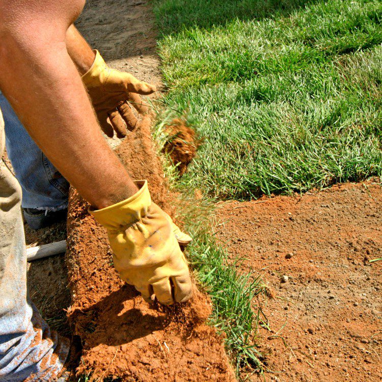 Lawn Services in Lakeland, FL Lawn Services in Lakeland, FL