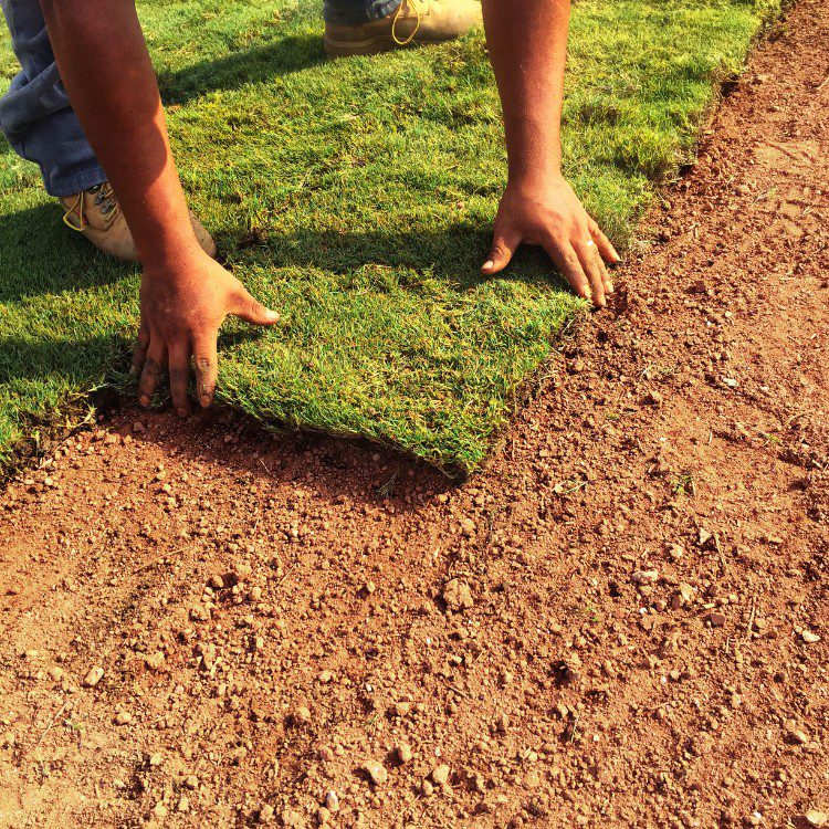 Lawn Services in Lakeland, FL Lawn Services in Lakeland, FL