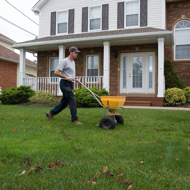 Lawn Services in Lakeland, FL Lawn Services in Lakeland, FL