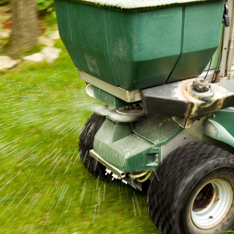 Lawn Services in Lakeland, FL Lawn Services in Lakeland, FL
