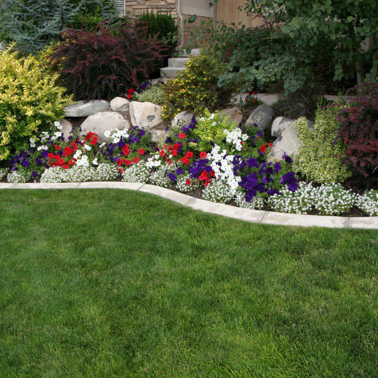 Lawn Services in Lakeland, FL Lawn Services in Lakeland, FL