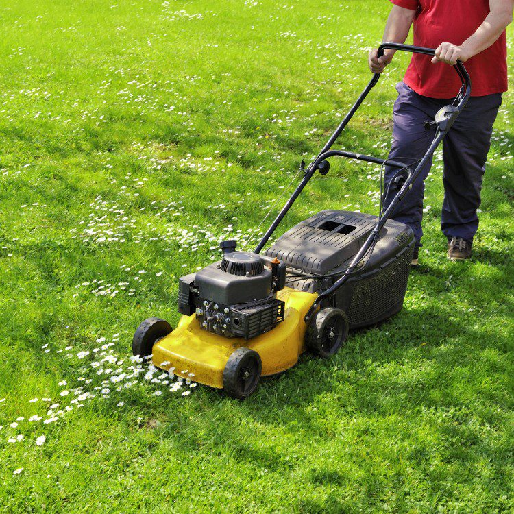 Lawn Services in Lakeland, FL Lawn Services in Lakeland, FL