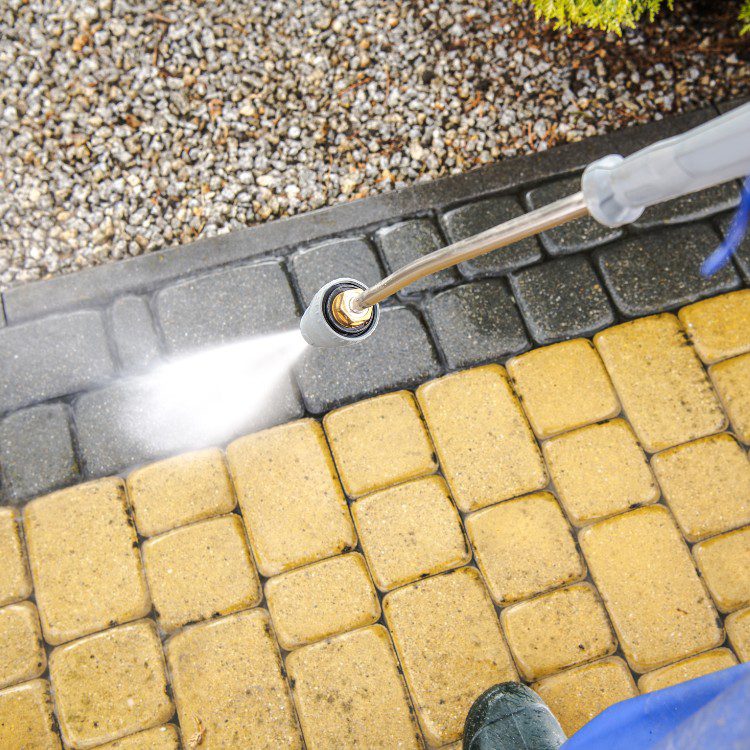 Lawn Services in Lakeland, FL Lawn Services in Lakeland, FL