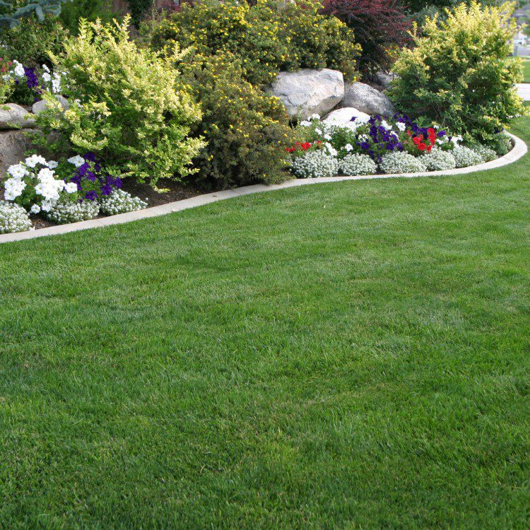 Lawn Services in Lakeland, FL Lawn Services in Lakeland, FL